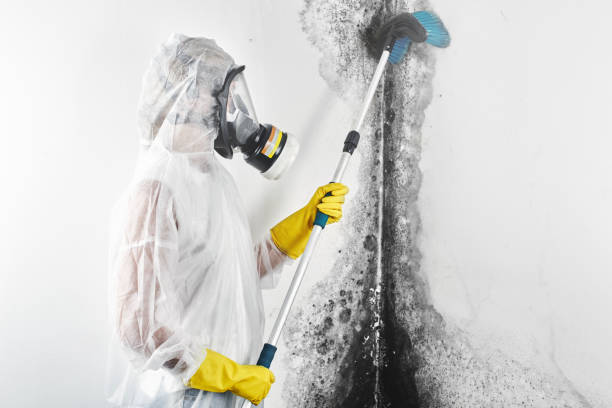 Best Indoor Air Quality Assessment  in Crestview Hills, KY