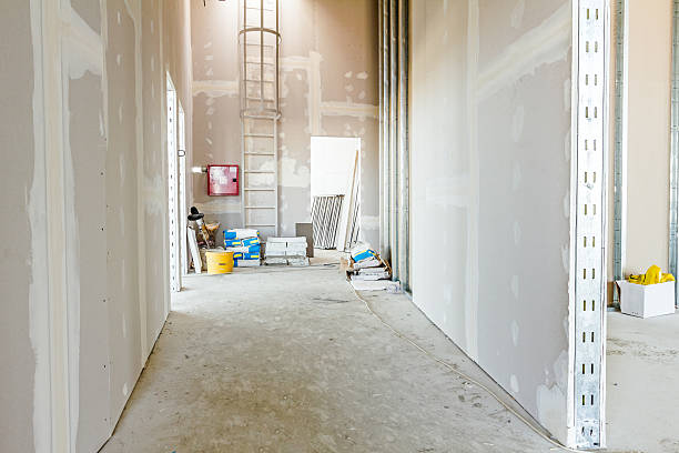 Best Mold Odor Removal Services  in Crestview Hills, KY
